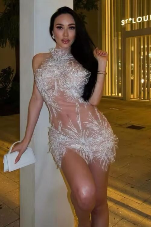 Sheer Transparent Pearl Sequin Neckline Open Back Mini Dress