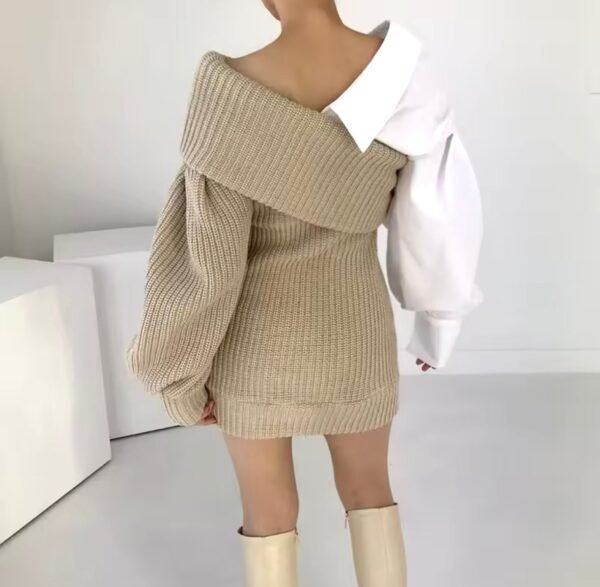 Pullover Sweater Dress W/Shirt