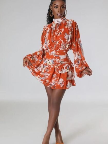 Turtle Neck Long Sleeve Ruched Mini Dress