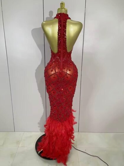 Sparkly Rhinestones Feather Sexy Mesh Long Dress